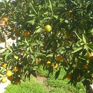 https://modica-garden-resort.sicilyhotelsitaly.net